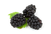 blackberries