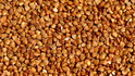 buckwheat