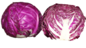 cabbage