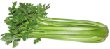 celery