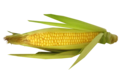 corn