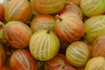 gooseberries