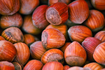 hazelnuts or filberts