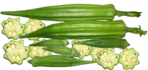 okra